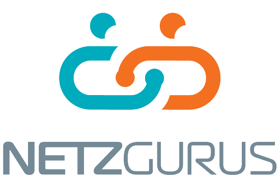 Firmengeschichte von NetzGurus