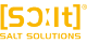 Logo von SALT Solutions